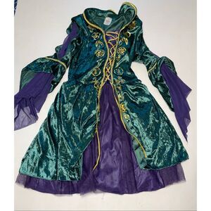 Hocus Pocus Winifred Sanderson Costume Dress Women’s XLarge Green Halloween